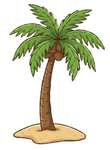 Coconut Tree